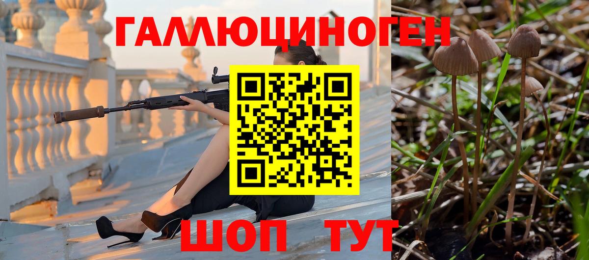 хочу   Галлюциногенные грибы прущие грибы  Орехово-Зуево  Вход с VPN  Галлюциногенные грибы мицелий 