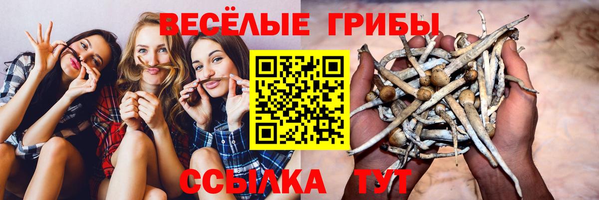 Галлюциногенные грибы мухоморы Орехово-Зуево